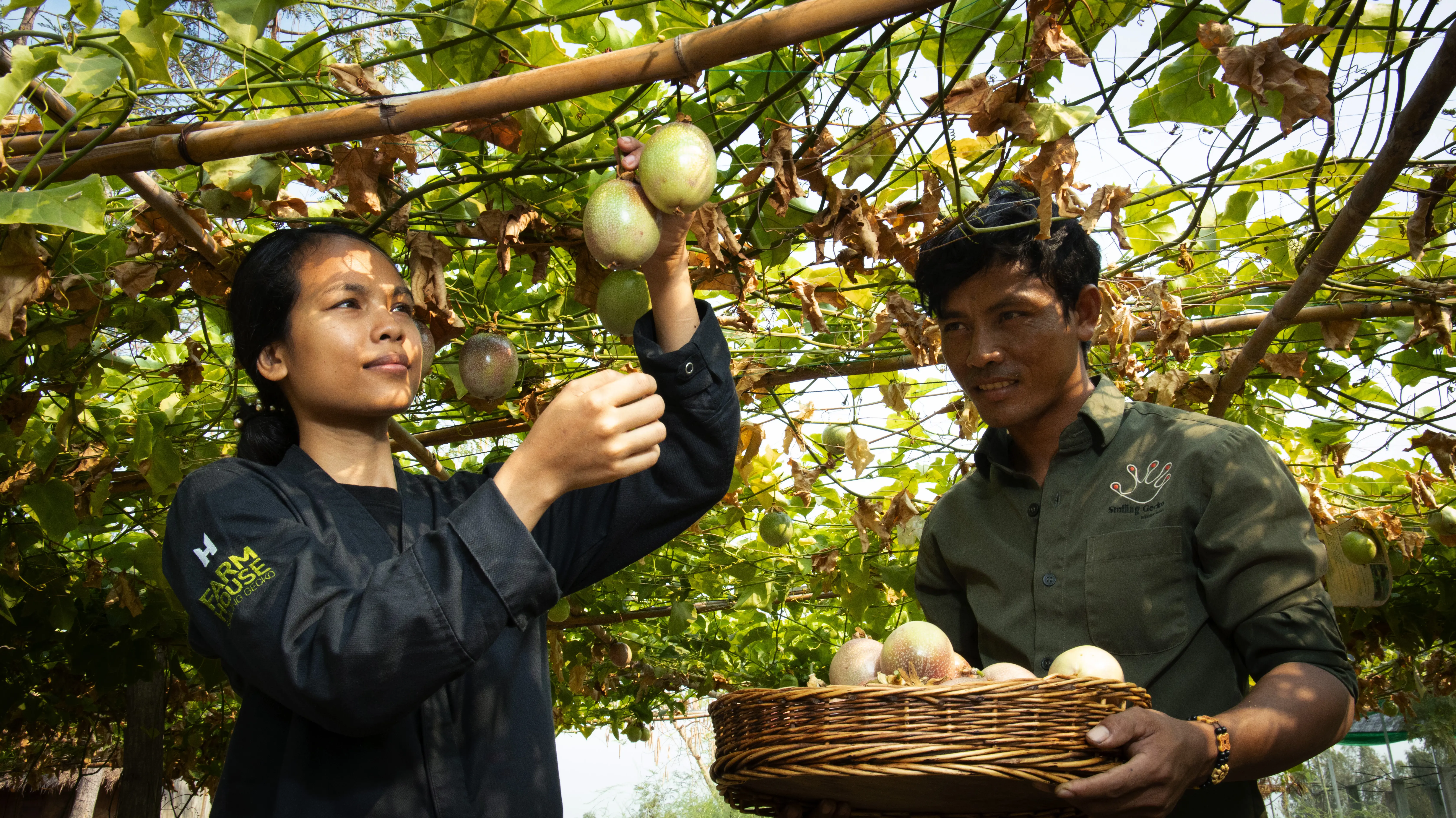 Farm To Table II